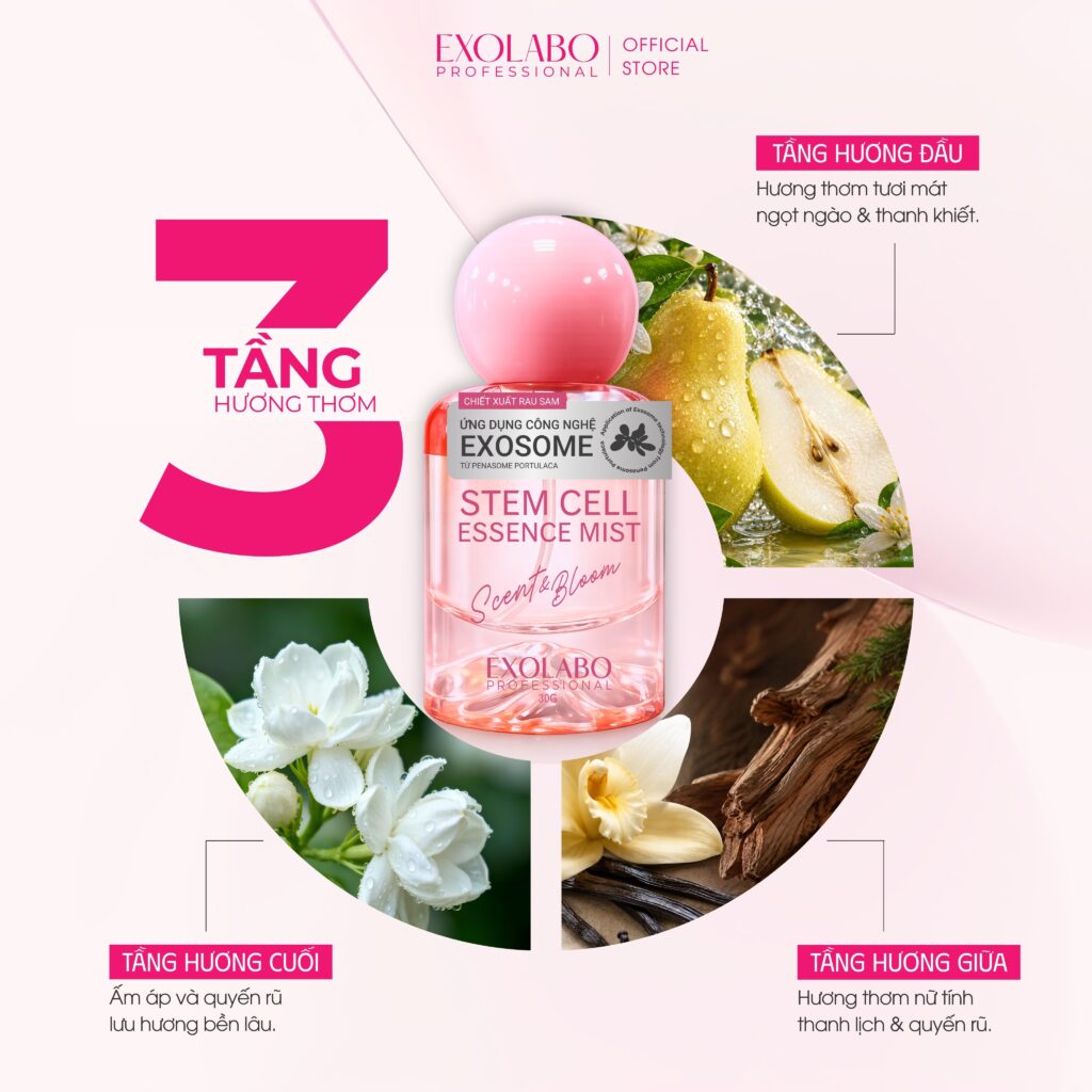 Hình 3: 3 Tầng Hương Thơm của Nước Hoa